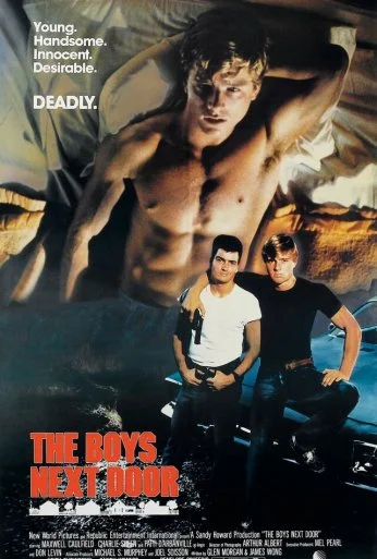 Соседские мальчишки (1984) онлайн бесплатно